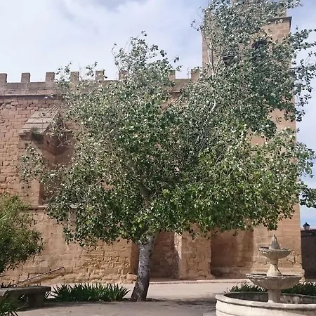 La Gatera 2d Bajo Aragon - Matarraña *
